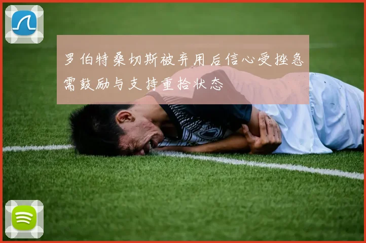 罗伯特桑切斯被弃用后信心受挫急需鼓励与支持重拾状态