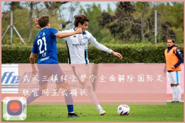 武汉三镇转会禁令全面解除国际足联官网正式确认
